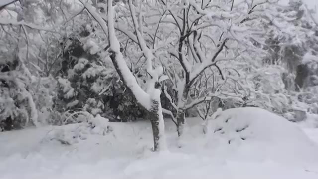 大雪の中をドライブ４